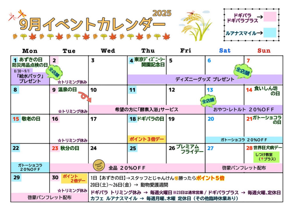 9月のイベントカレンダー
