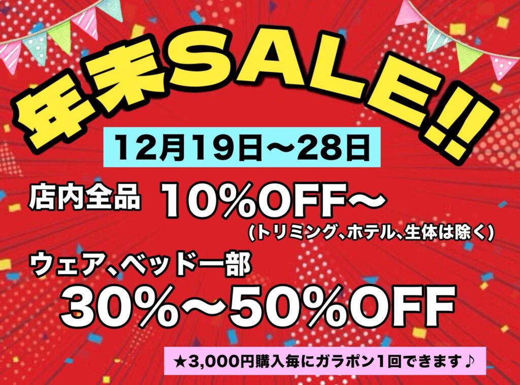 年末セール&ガラポン抽選会実施中!!🎉