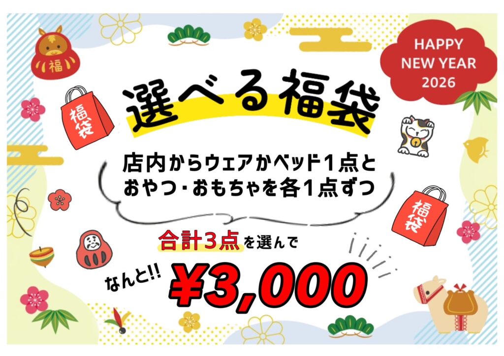 2026福袋販売!!🎉