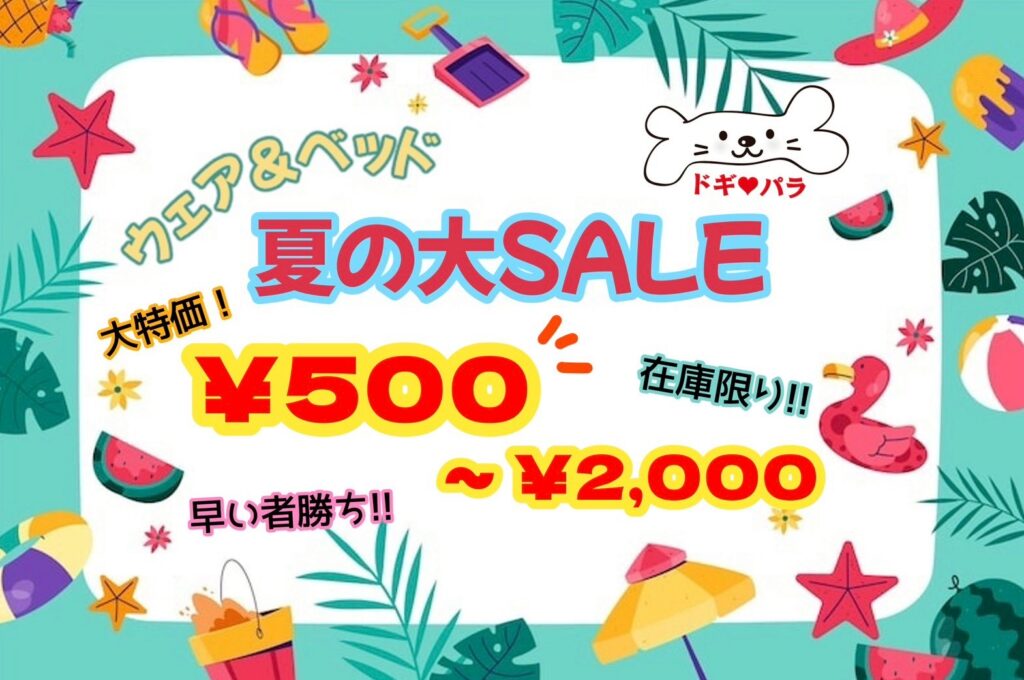 ウェア&ベッド大セール実施中‼️