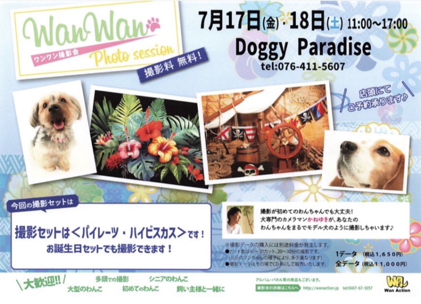 ワンワン撮影会開催‼️📸