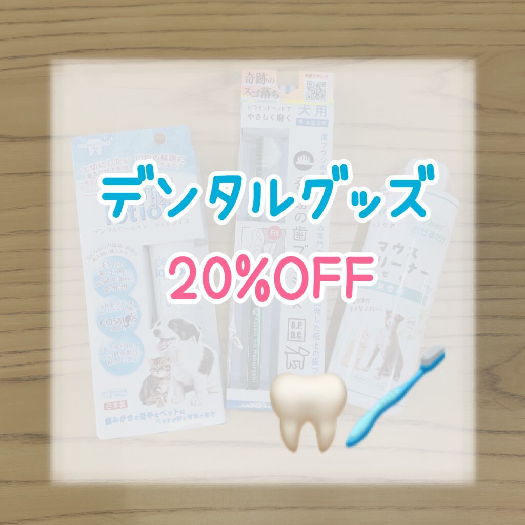 【歯ブラシの日】デンタルグッズ20%OFF
