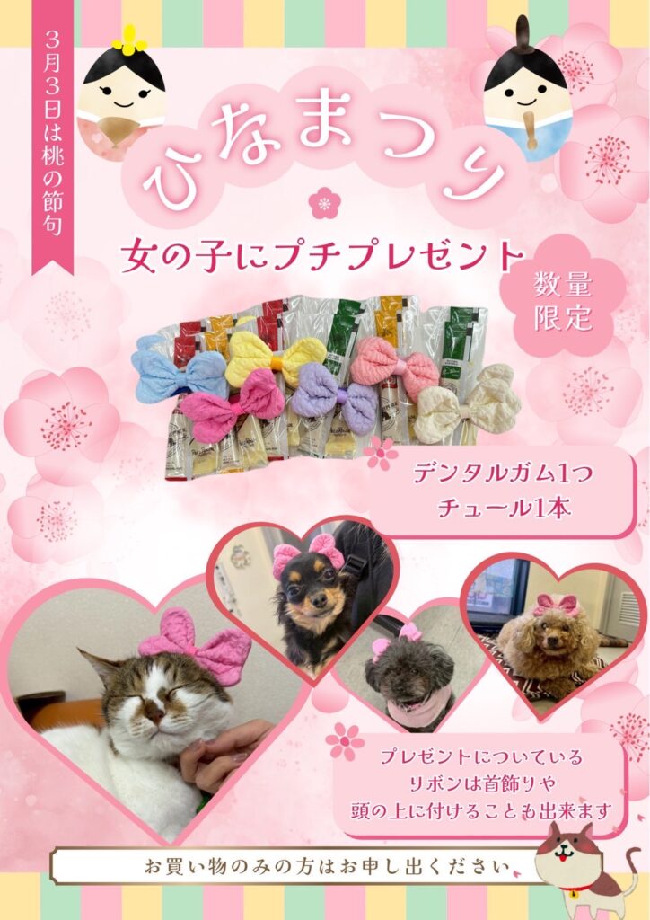 🌸ひなまつり🎎🌸