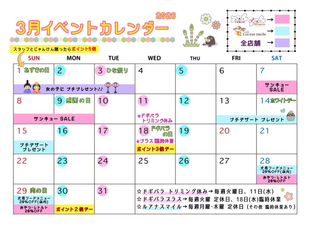 3月のイベントカレンダー