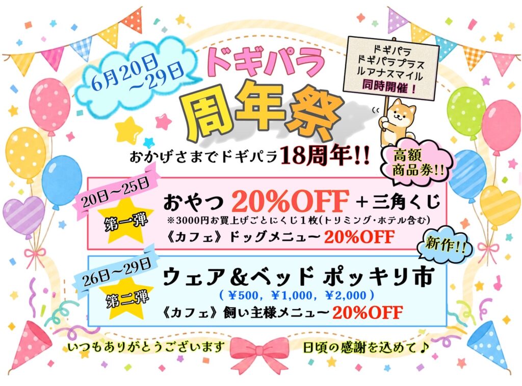 🎉ドギパラ周年祭開催します🎉