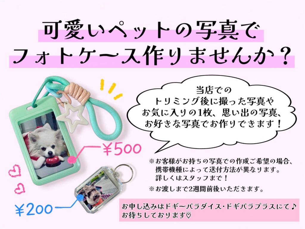 フォトケース始めました!!🙌