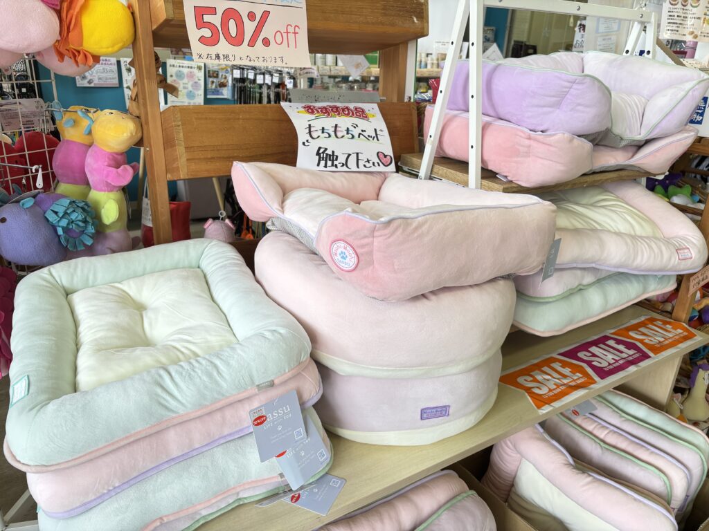 新作ベッド只今50%OFF‼️