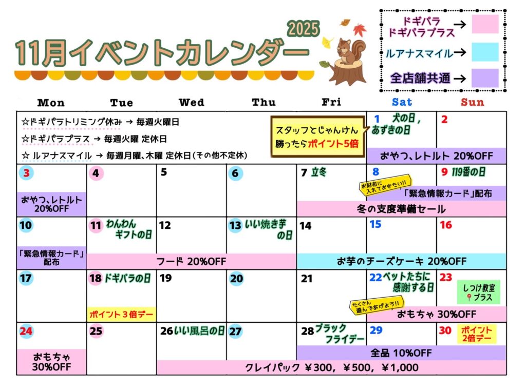11月のイベントカレンダー