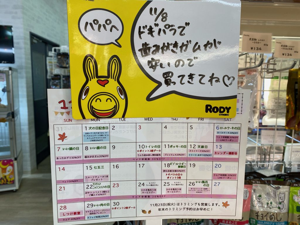 11月から新しいサービス始まっています＼(^o^)／