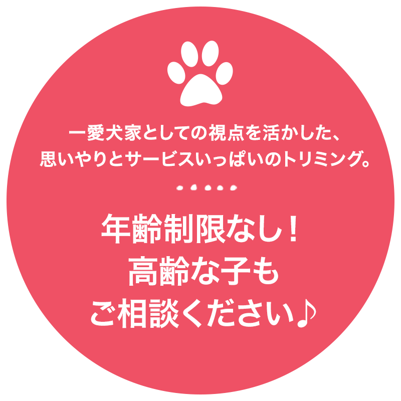 年齢制限なし！高齢な子もご相談ください♪