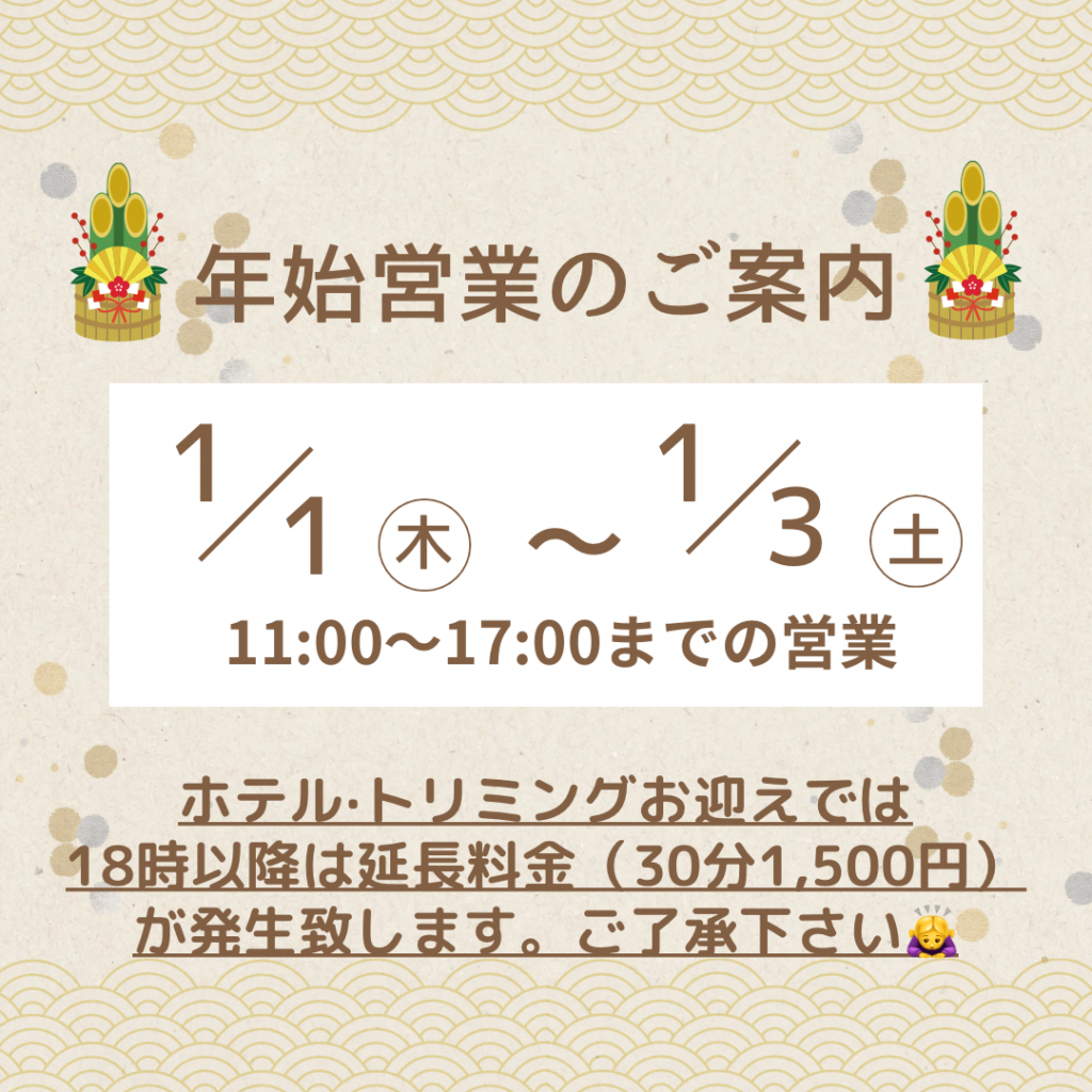 🎍年始営業のご案内🎍